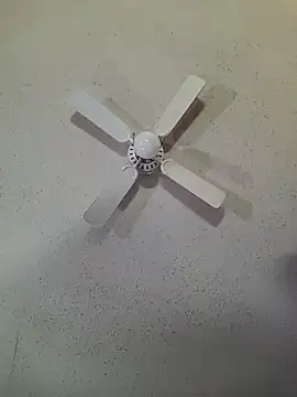 big8dall online show from 04.15.26