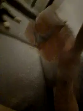 Bretoncool online show from 04.04.26