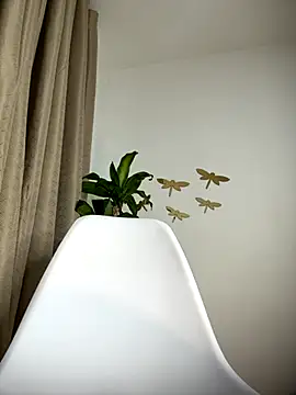 cuteluci  online show from 11.16.25