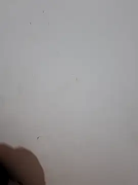 sweet Melody xx online show from 09.29.25