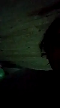 bonnnieandclydee online show from 03.12.25