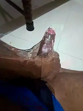 Snapshot of SageElement2 chatting on 11.11.25 SageElement2 online show from 11.11.25