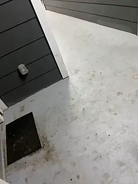 zeekBbc online show from 02.09.26