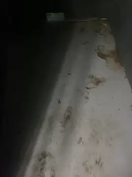 zeekBbc online show from 04.05.26