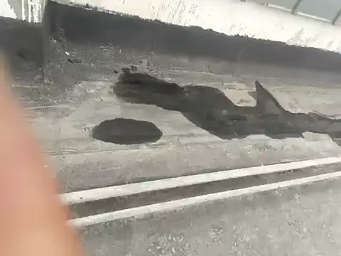 Snapshot of Gururonny07 chatting on 01.15.25 Gururonny07 online show from 01.15.25