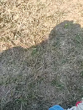 Snapshot of Gururonny07 chatting on 01.27.25 Gururonny07 online show from 01.27.25