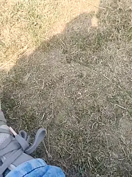 Snapshot of Gururonny07 chatting on 02.19.25 Gururonny07 online show from 02.19.25