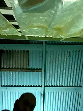 islandvybee55 online show from 01.12.26