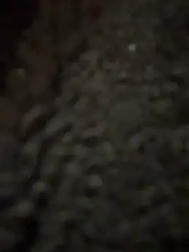 cicciolina online show from 01.31.25