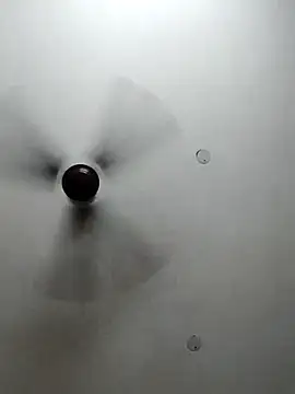 cutiecatty21 online show from 10.23.25