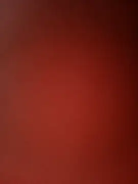 Snapshot of Rupatamil chatting on 12.21.24 Rupatamil online show from 12.21.24