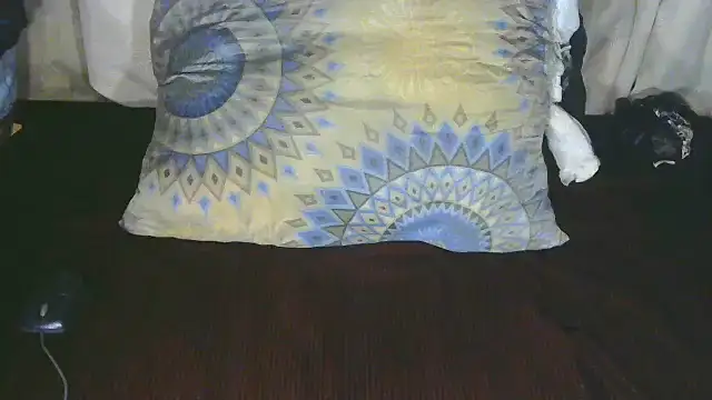 Snapshot of TransCya2024 chatting on 10.11.25 TransCya2024 online show from 10.11.25