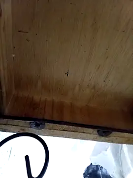 DaniSexFlow online show from 10.13.25