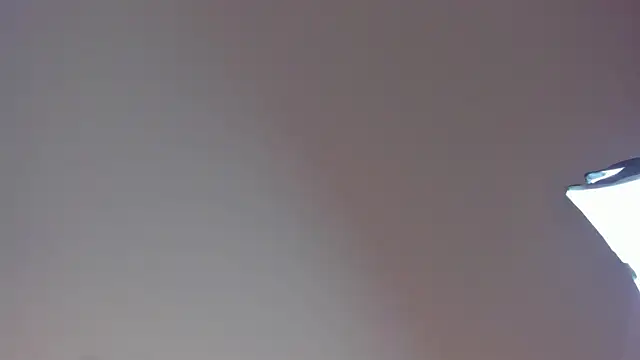 Snapshot of Laurent_Williams chatting on 12.28.24 Laurent Williams online show from 12.28.24