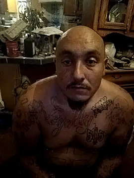 wilsons12 online show from 11.06.25