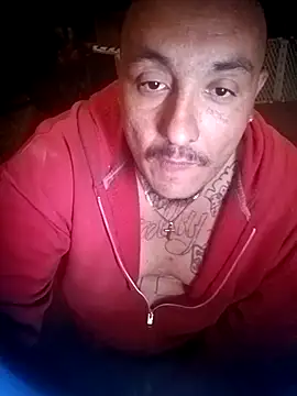 wilsons12 online show from 03.05.26