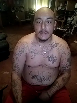 wilsons12 online show from 04.01.26