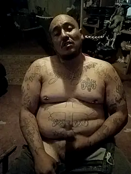 wilsons12 online show from 04.04.26