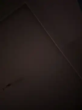 Snapshot of eddy355 chatting on 10.26.25 eddy355 online show from 10.26.25