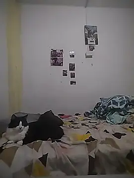 safira hot online show from 02.16.26