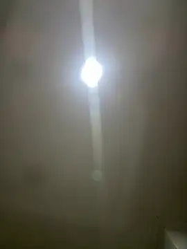 pawmistry online show from 03.05.26