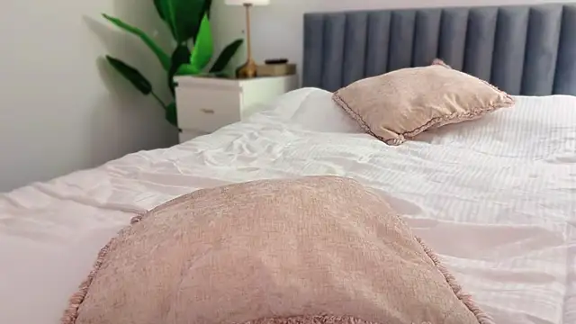 Snapshot of Myassistant chatting on 01.16.26 Myassistant online show from 01.16.26