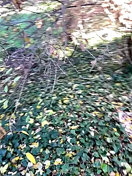 Lucascacaca online show from 12.04.24