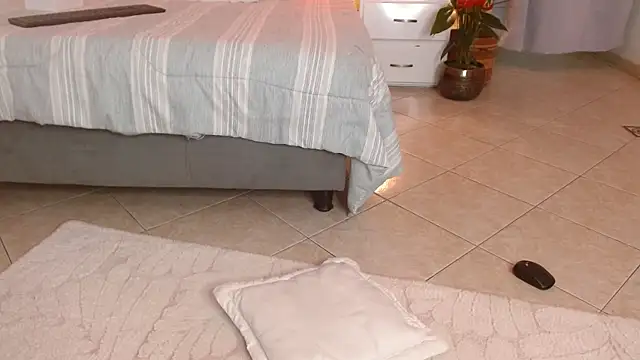 Snapshot of Tommyfoxboy chatting on 02.09.25 Tommyfoxboy online show from 02.09.25