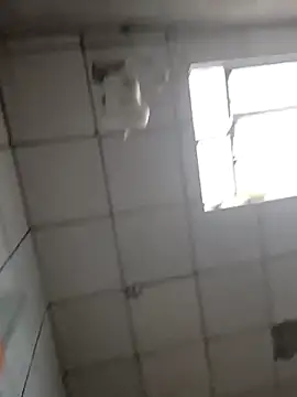 DitchingThrottle online show from 03.19.26