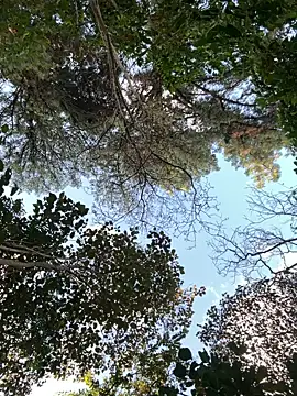  PhillipBrown online show from 09.10.25