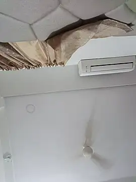 Snapshot of ridetoheaven chatting on 03.02.26 ridetoheaven online show from 03.02.26