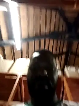 Touch mysoul online show from 10.26.25