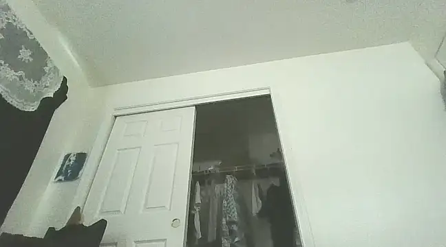 PompasPurpleriver online show from 02.03.25