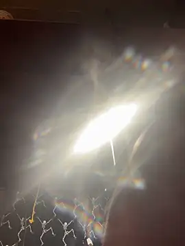 mascmo88 online show from 01.05.26