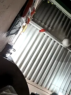 Snapshot of arppyyyxx chatting on 10.22.25 arppyyyxx online show from 10.22.25