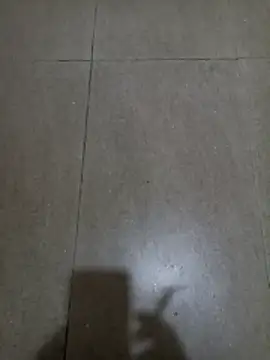 wildfox566 online show from 01.18.26