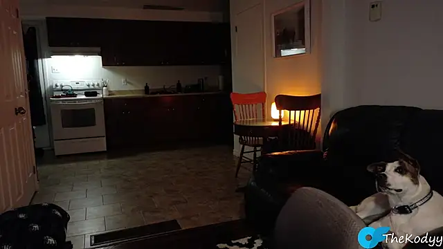 Thekodyy online show from 01.09.26