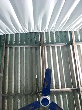 hotbaby 5 online show from 11.22.25