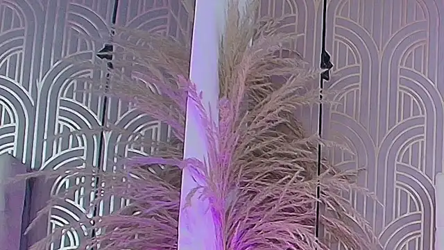 Snapshot of LeylaRangel chatting on 10.25.25 LeylaRangel online show from 10.25.25