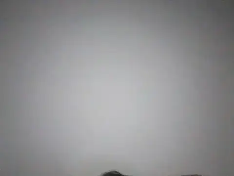 ChunkyMonkey007 online show from 12.07.24