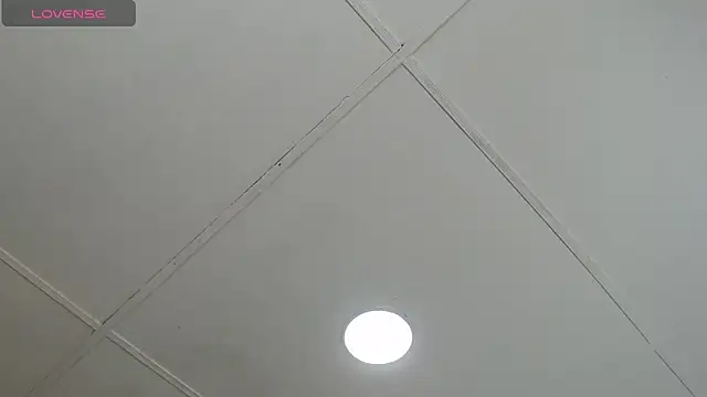 Snapshot of dannaberlin_0 chatting on 02.20.25 dannaberlin 0 online show from 02.20.25