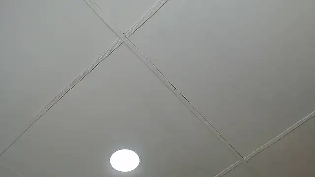 Snapshot of dannaberlin_0 chatting on 03.08.25 dannaberlin 0 online show from 03.08.25