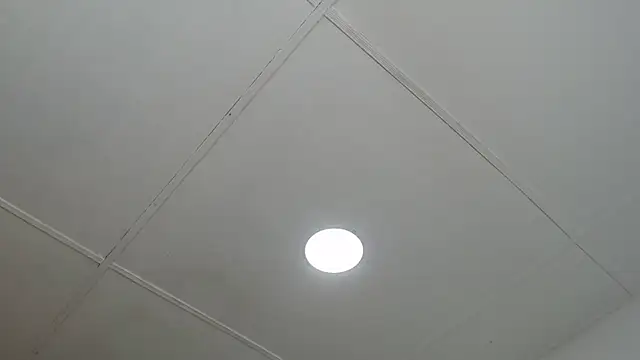 Snapshot of dannaberlin_0 chatting on 03.13.25 dannaberlin 0 online show from 03.13.25