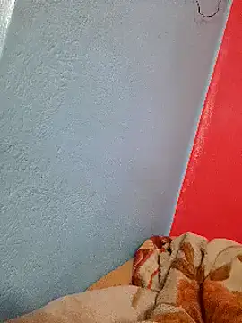 Sid0701 online show from 02.03.25