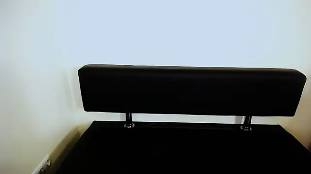 Snapshot of LaimaV_ chatting on 10.20.25 LaimaV online show from 10.20.25