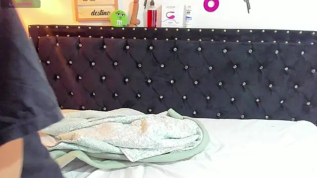 meow mota online show from 12.13.24