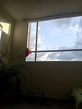 Snapshot of Dangerouspassion777 chatting on 09.30.25 Dangerouspassion777 online show from 09.30.25