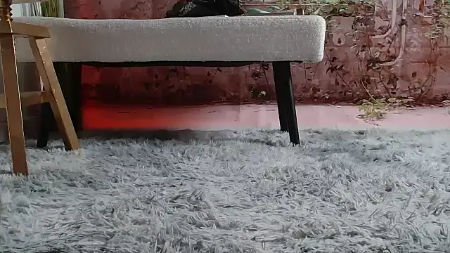 Snapshot of priselvis23 chatting on 03.12.25 priselvis23 online show from 03.12.25