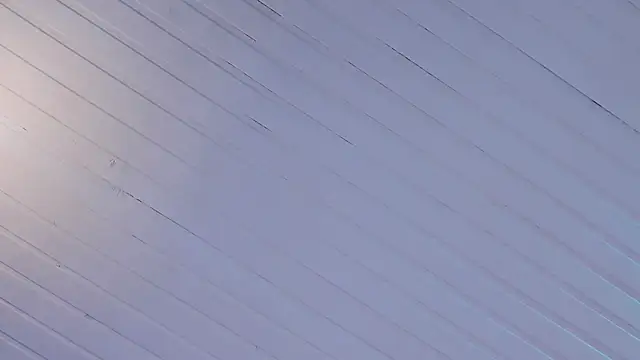 Ammy nova online show from 10.06.25