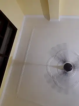 wasu3322 online show from 04.16.26